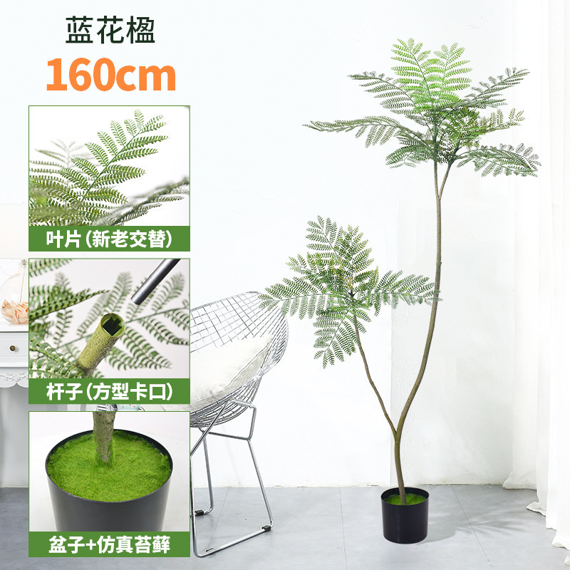 蓝花楹仿真绿植落地盆栽仿生植物摆件室内客厅沙发旁装饰盆景假树|undefined