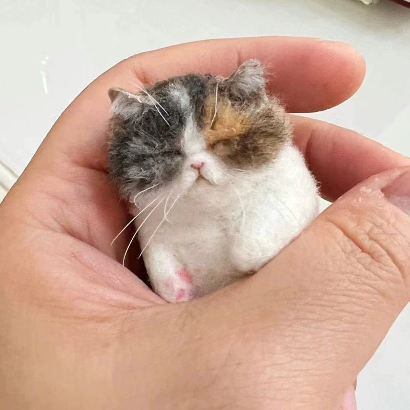 Шерстяной войлок колл кот ручной работы