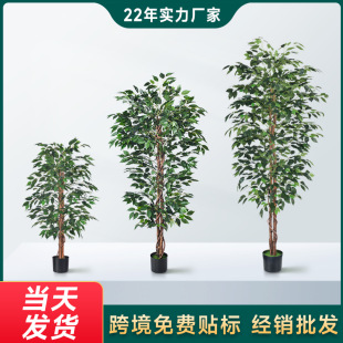 �羳�����Ř��辰�@���҃��k���ҿ͏dֲ����~�Ÿ߷���٘�����