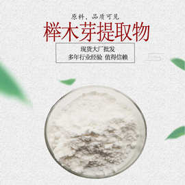 榉木芽提取物 欧洲水青冈芽提取物