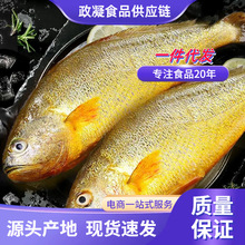 ���S���~���r�r�����S�~�r�������~���r�S�~���rˮ�a�������l