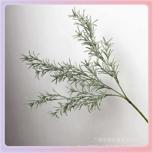 ?ֲë����~���Gֲ�ٻ�ֲ��G�~���Ĳ廨�~�ӼҾӘӰ��g�Ʒ