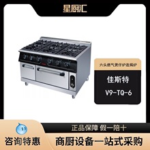 ��˹��SPTT39-V9-TQ-6��ͷȼ������¯����h¯��ͷ����¯������