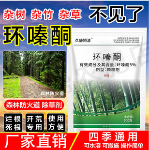 5%�h�ͪ���݄���ľ���݄��rș�����_�ĳ��w����������Ӡ�����