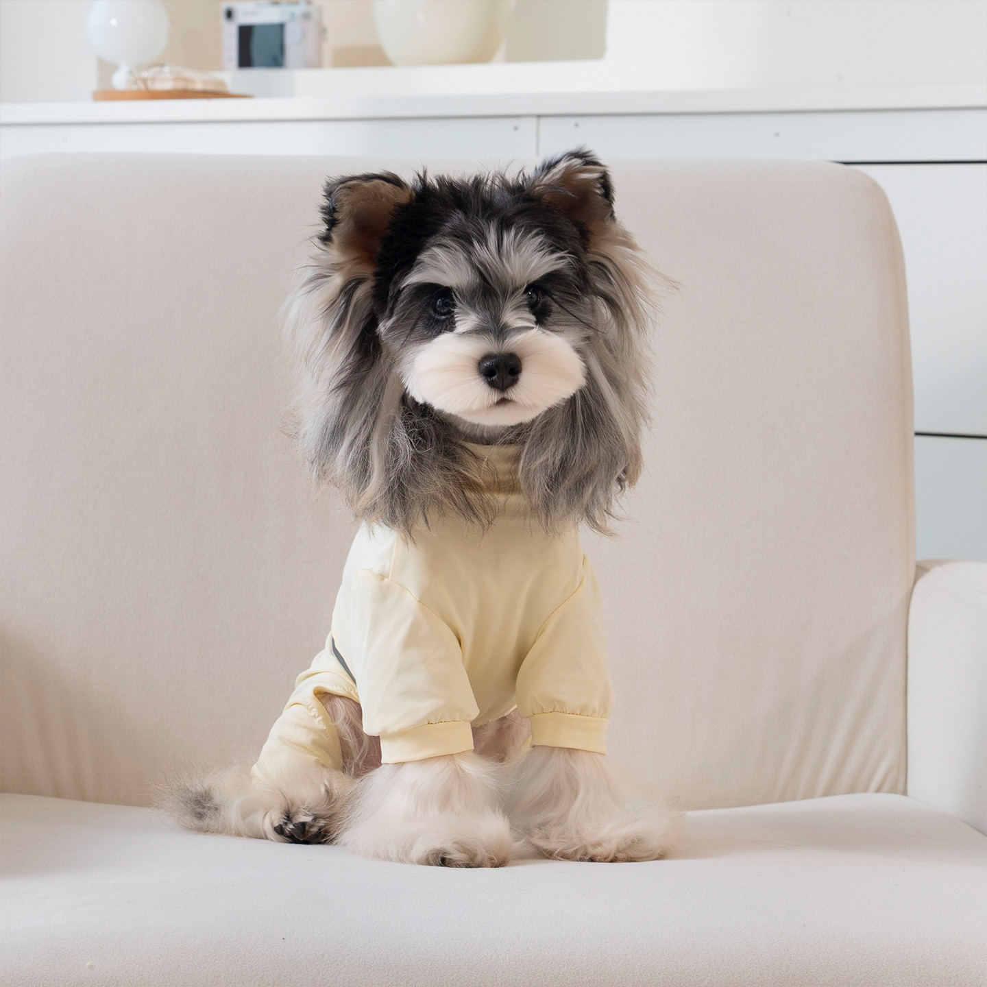 Ropa para mascotas Primavera/Verano 2026: Abrigo ligero y transpirable de cuatro patas para perros pequeños, Teddy, Bichón y_voghion.com