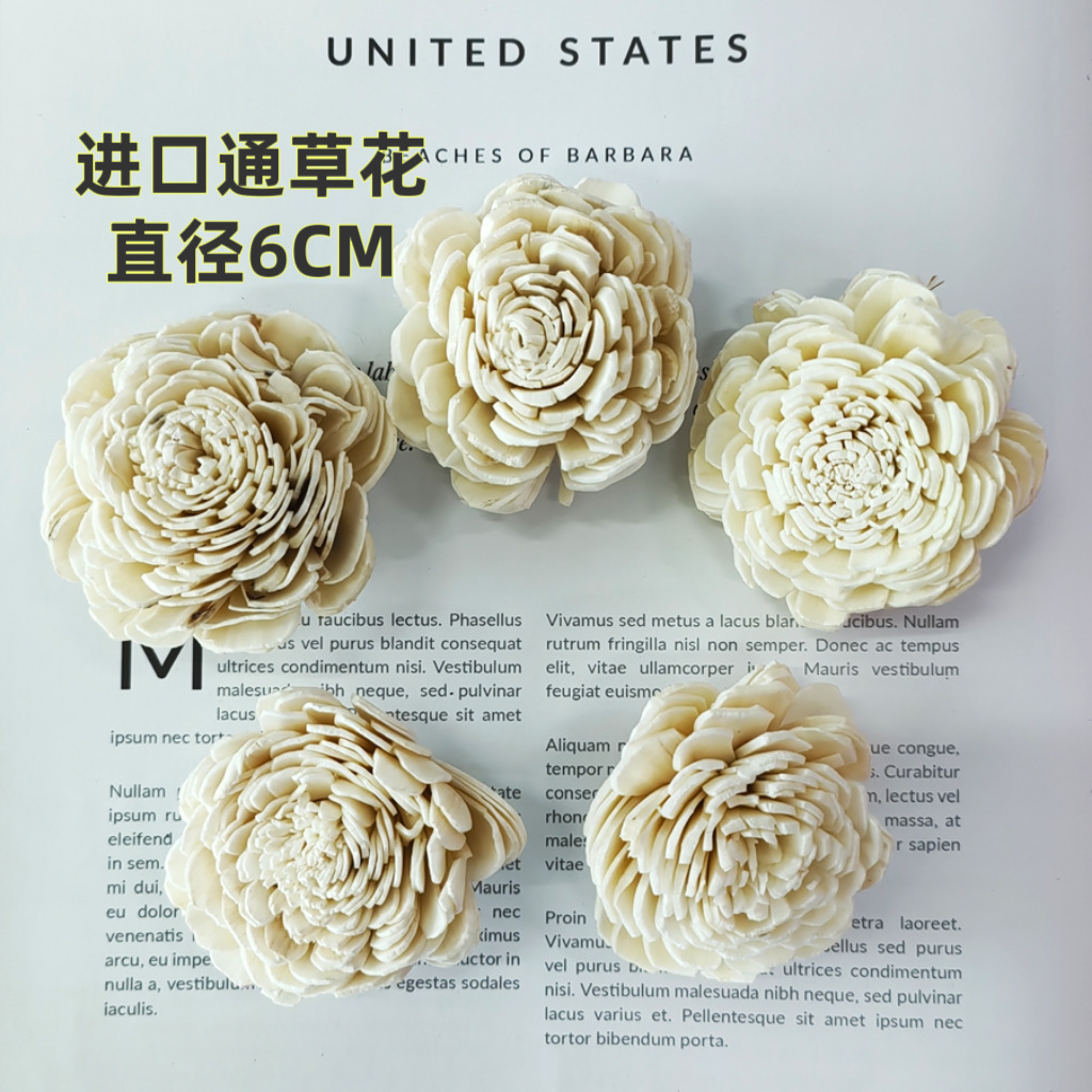 ��Ҭ�ӻ������ӵ���������Ȼ�ɻ�����Ҭ�ӿǻ�DIY�ֹ���Ӱ����