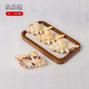 ��Ƿ�����Ȼ����ؐ����ˇƷ�Ҿ��ղؔ[���Y�ﺣ����՘˱������l