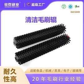 输送机清洁弹簧辊刷定制 食品果蔬机械电子玻璃多应用清洁毛刷辊