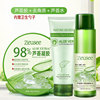 Aloe vera gel for skin care, set