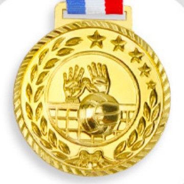 Voleibol 313 (oro y plata cobre tres colores) 6,5 cm