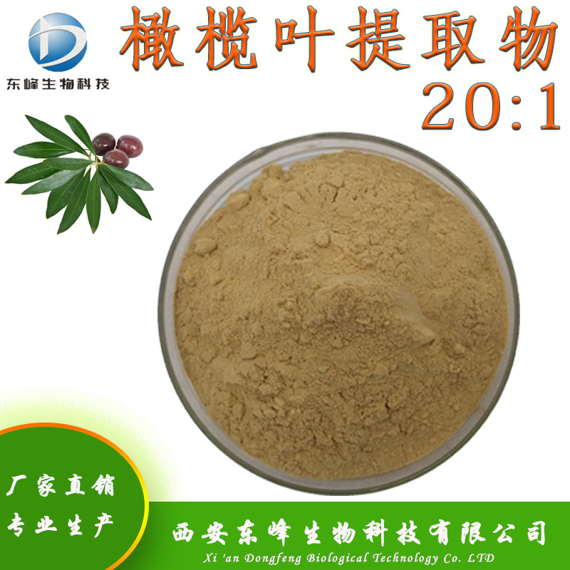 橄榄叶提取物 20:1橄榄叶粉水溶性食品原料源头货源橄榄叶提取物