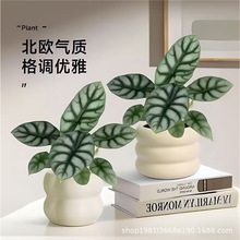 ��Ϭţ�������Ա��Wins�L�Gֲ�҃ȿ͏dֲ������Ȥζ�߼�С�辰