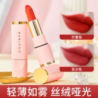 Xuanluolan Color Velvet Mist Нескользящая губная помада Легкая матовая помада Легко окрашивается Производитель Оптовая доставка L077