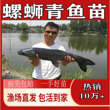 ��·���~�����Ͳ��~���a�~���Ĵ���~���Bֳ������w�~�����