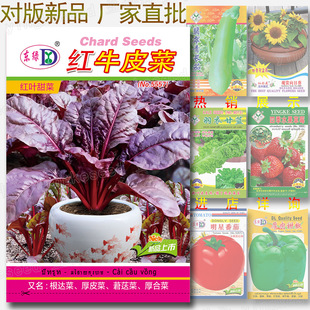 �tţƤ�˷N�� �s40�� �t�~����q�R�����~�t�~���_�˺�ϲ˺�Ƥ��