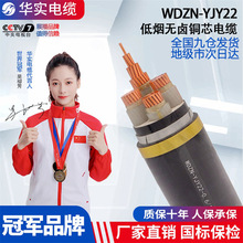 華實WDZ-YJY22低煙無鹵阻燃低壓電纜國標 2345芯純銅電線廠家現貨