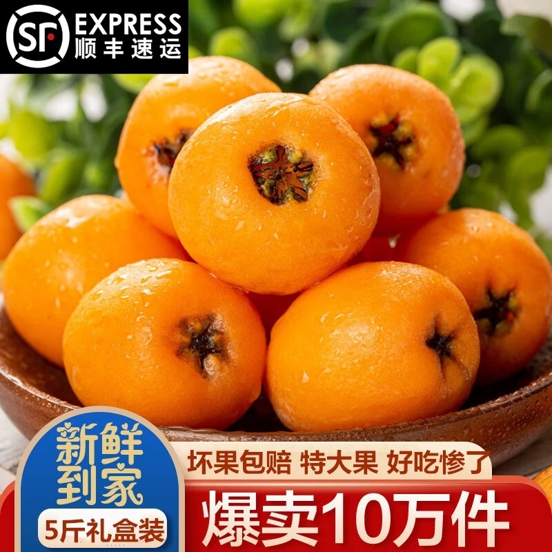 米易甜枇杷果新鲜攀枝花五星枇杷大果特大号当季水果