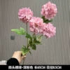 Dream hydrangea dark pink