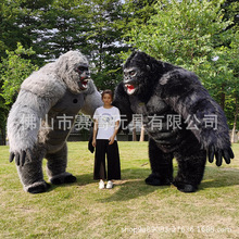 gorilla�����ɳ����ż���b�˴�����ż��������˹����ż����ż�b