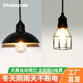 太阳能灯;庭院灯;道路照明灯