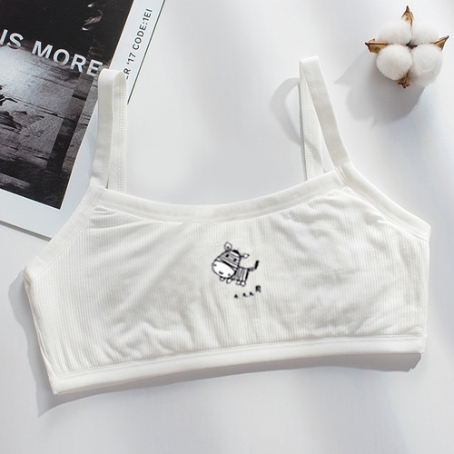 Growth period small vest female student underwear primary and junior high school students 16-year-old girl bra girl innerwear bustier agency 