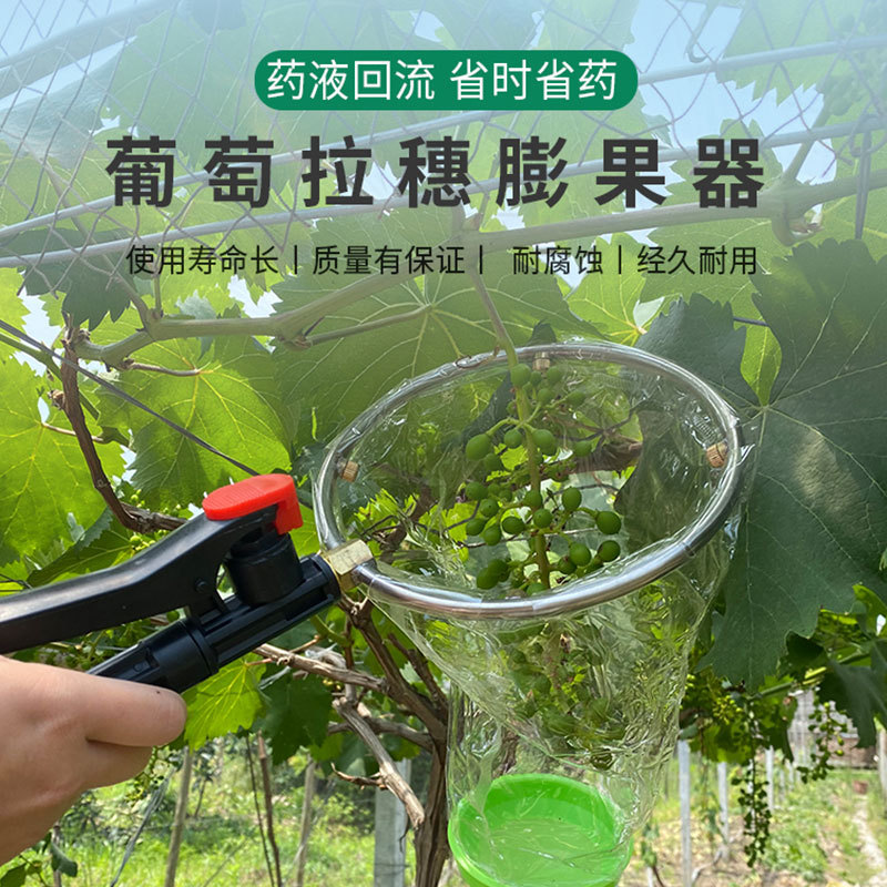 Grape fruiting atomizing nozzle liquid returner, flowering promoting red ripening fruit dipping sprayer, four nozzles
