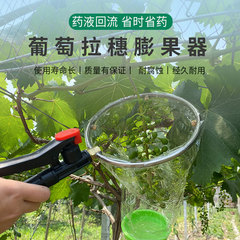 Grape fruiting atomizing nozzle liquid returner, flowering promoting red ripening fruit dipping sprayer, four nozzles