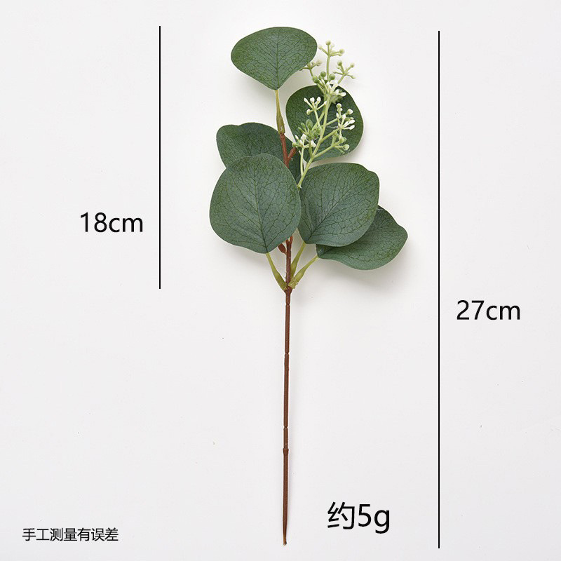 유칼립투스 둥근 잎 약 27cm5g 의 과일