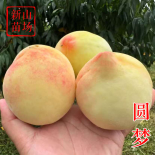 ���A�����硿�����ˮ�����о�����Ʒ�N�ϱ��ɷNˮ�����Ә���