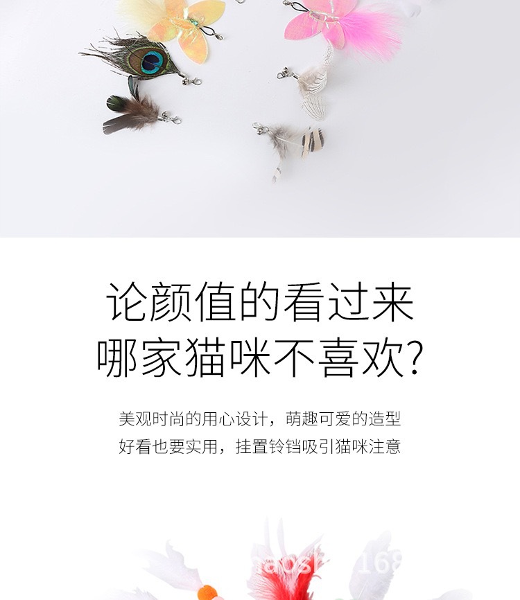 2022-04-02 090326(6).jpg