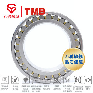 TMB/���R���� NN3022K/P6 ���ܙC���p�ЈA���L���S��