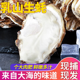 ��ɽ����r��5�����ĵϠ���r��Ϡ���������l����ĵϠ