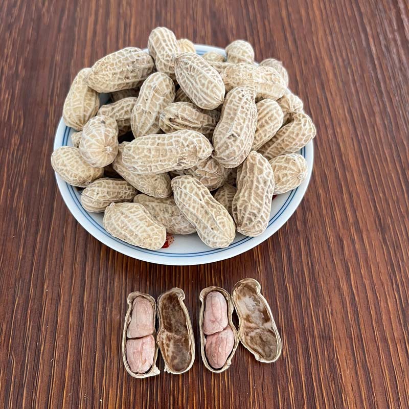 微信图片_20220302122306