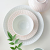 Japanese import tableware home use