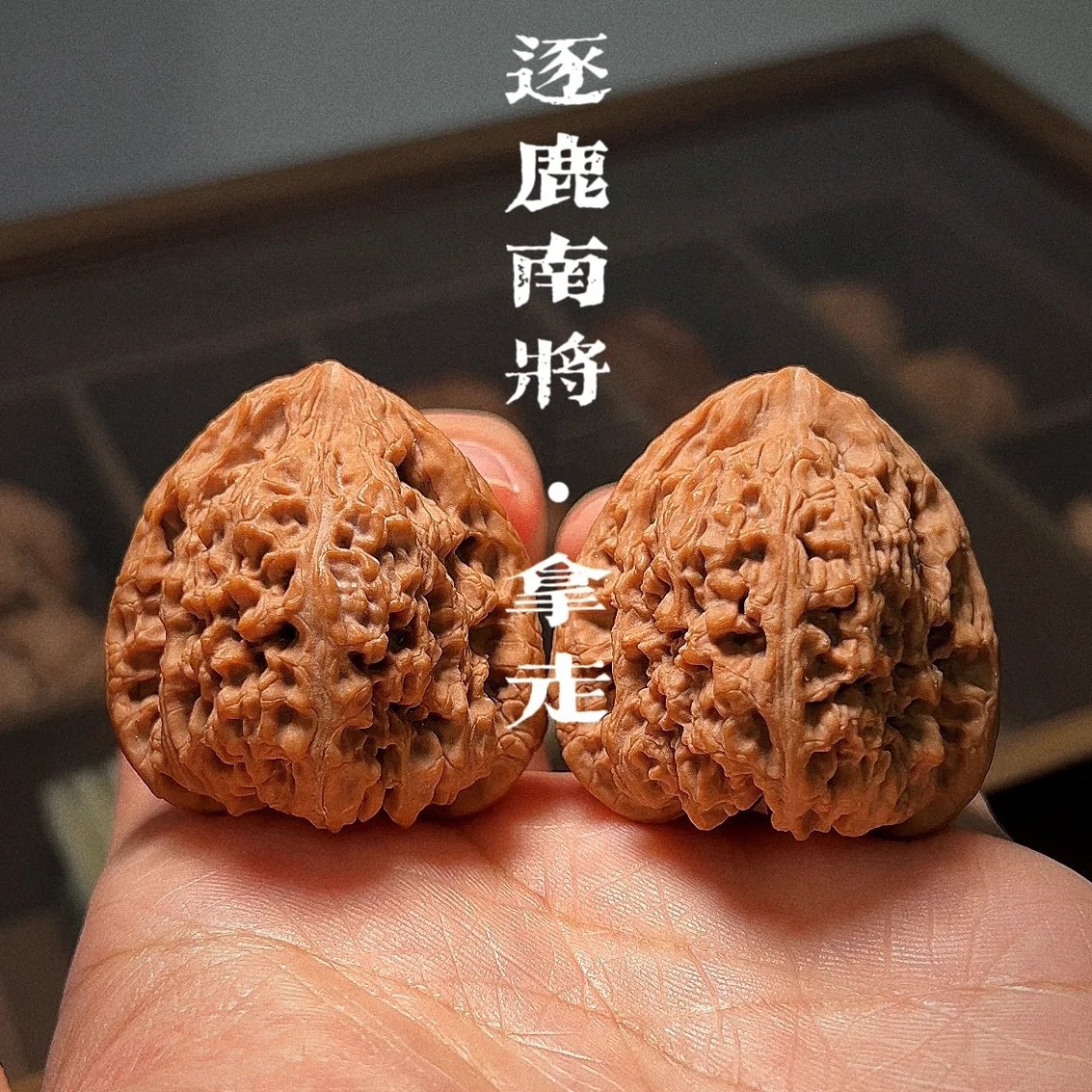 文玩核桃南疆石凹底拉丝蚂蚁纹炮弹桩南将石老树野生狮子头麒麟纹