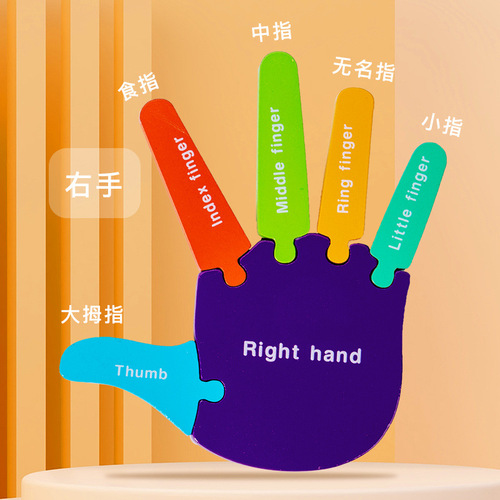 Palm and sole cognitive puzzle 0.31 kindergarten children's body structure English cognitive science and education toys
