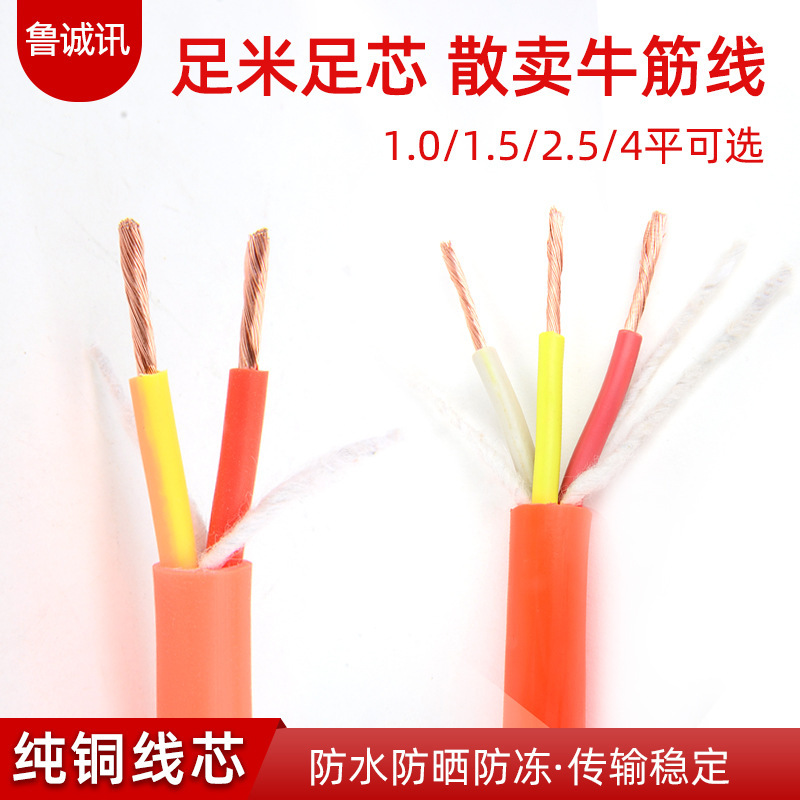 Sell GB beef tendon wire household cable 2-Core 3-core antifreeze power cord outdoor 2.5 square copper core