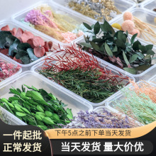 ��Ϻ��b�ɻ�diy���ϰ��ֹ����F����ӻ�ˇ�nֲ���N������ƿ