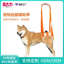 伊丽莎白圈;宠物项圈;狗狗食具