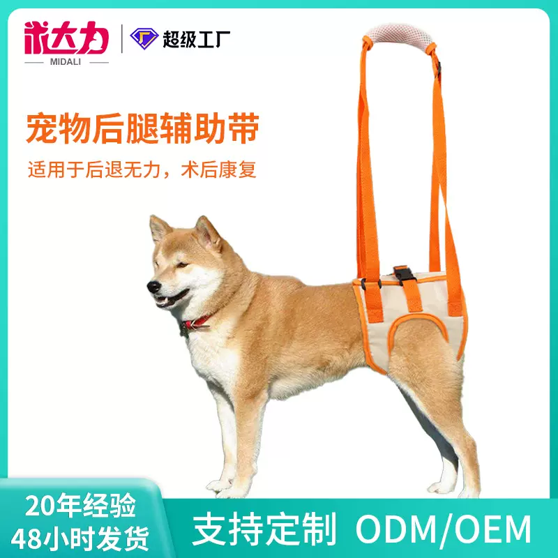 宠物后腿辅助带高龄老年犬残疾犬受伤康复助行带狗上楼助力带跨境