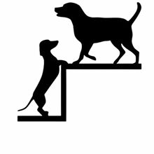 ��ֻС�������T���b�С���T�����b����T���b��ٹ�ˇƷ