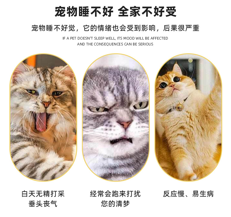 详情页_02.jpg