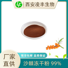 沙棘冻干粉99% 沙棘果粉 沙棘水果粉 低温冷萃 现货 量大从优