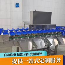 果蔬重量分选机海鲜无损分选机石榴圣女果秋月梨芋头精准分选机