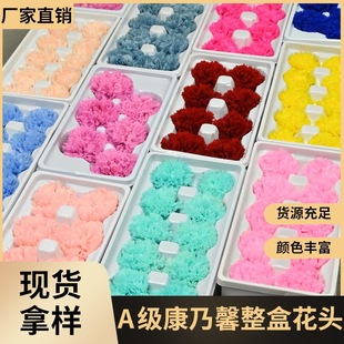 �û�������A������ܰĸ�H��diy���Ĳ��ϋDŮ���͋��������r���Y��