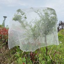 植物防虫网罩果树防虫放白粉虱防鸟网套蔬菜防果蝇套袋网纱