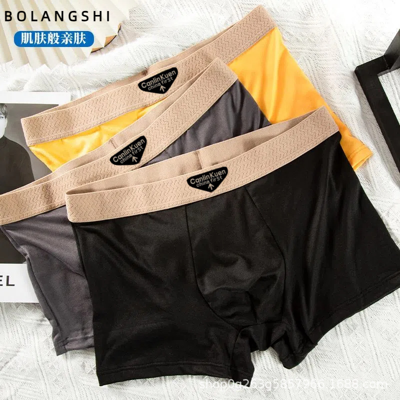 Men's Underwear Autumn and Winter Breathable Crotch Popular Style Comfortable Large Size Boxer Briefs Simple Flat-Angle Shorts Wholesale Antibacterial