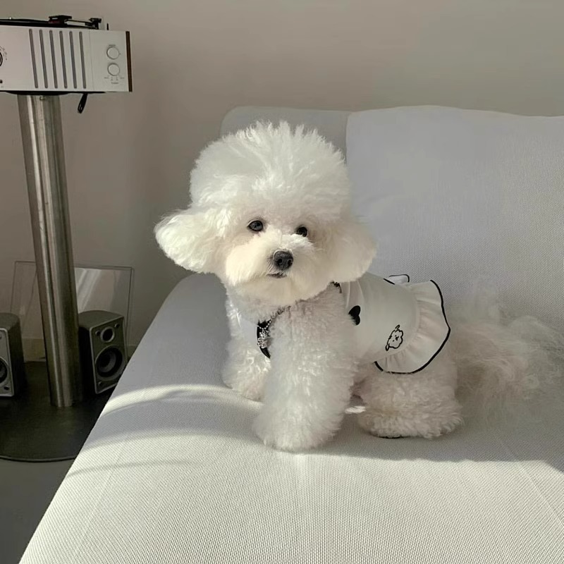 Primavera y verano inswind perro impresa amor cintura cintura cintura vestido gato vestido de dos patas ropa de perro mascota