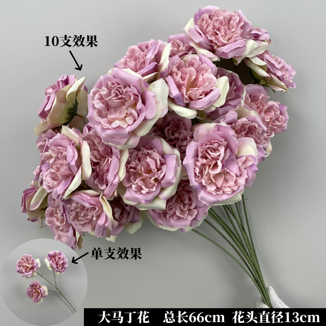 Pink and purple martin