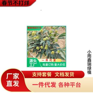 �F���� �F������ �����ӽ��T�F��С�������� �޽ӹ������ϱ����N